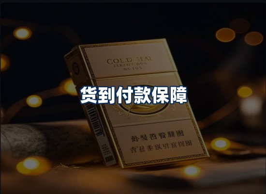 专业团队办公环境